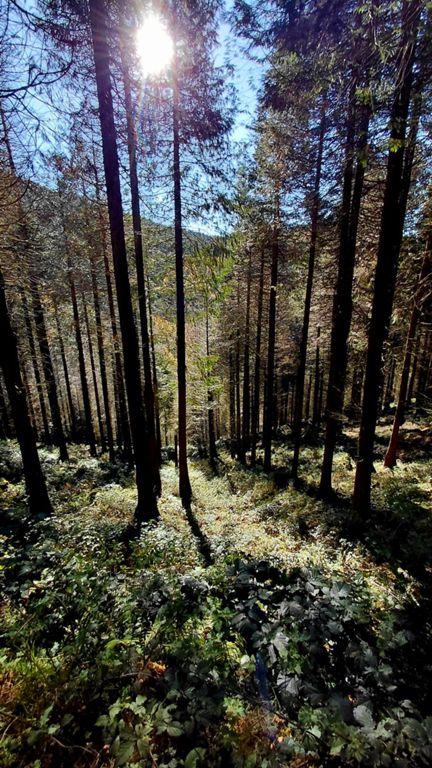 Urkiola. Larrano y Urkiolagirre