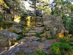 Kaysersberg Bilstein