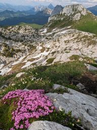 Leysin rando ferrata