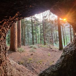 Sortie à vélo le soir