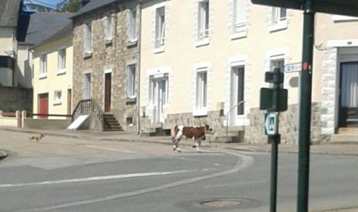 Là aussi on va me dire que c'est normal.