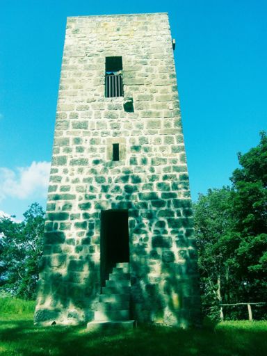 Es macht einfach Spaß , die Natur zu erkunden, dann stehst du vor solch einem Turm 😃.   Steinholz  Climb bei Harsleben.