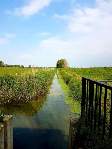 Zicht op één van de talloze waterlopen vanaf het gemaaltje waar ik mijn fiets had gestald
