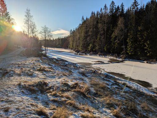 Svømmestarten neddemma