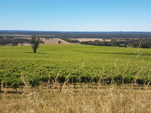 Mt Camel Range climb, take 1