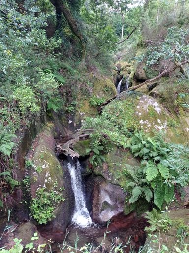 Cascada cerca de Camboño