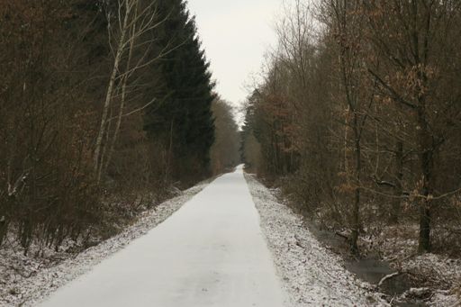Hoffentlich zum letzten Mal in diesem Winter: weiße Wege.