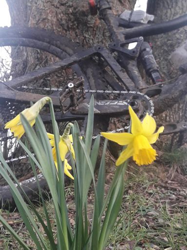 Der Frühling kommt😀