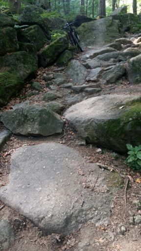 Na razie stchórzyłem