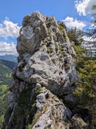 Chöpfenberg Tierberg
