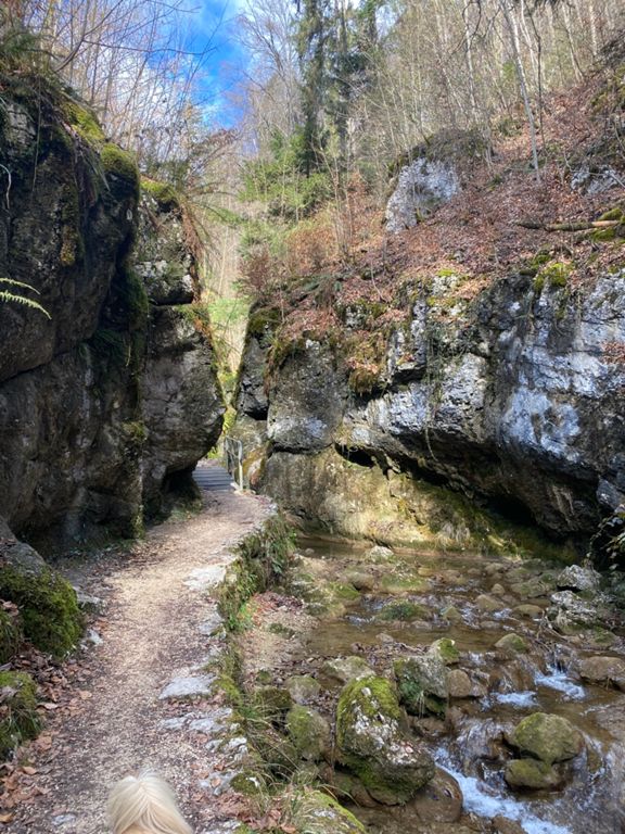 route-highlight