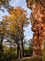 Rando depuis Ochsenstein