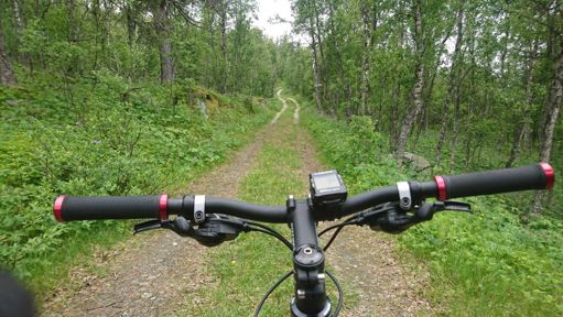 Life behind bars 😅