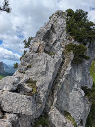 Chöpfenberg Tierberg