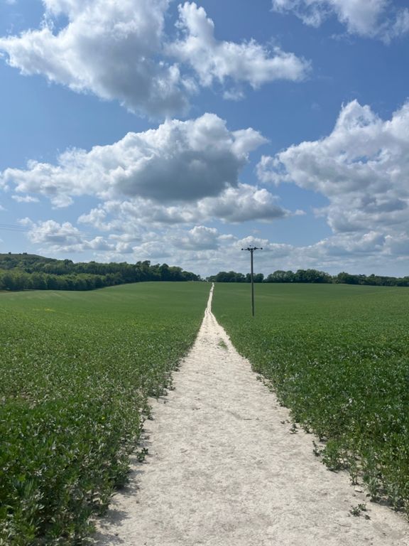 route-highlight
