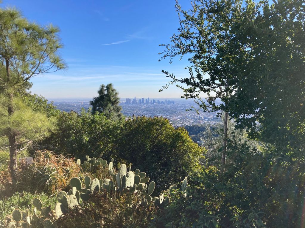 NBB run - Lake Hollywood: фото 24