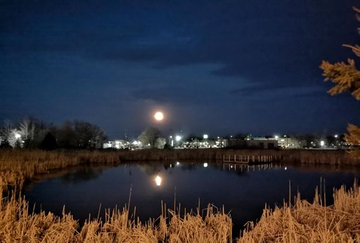 Same Moon I saw coming back from the Leafs game last night but on the opposite horizon. Beautiful.
