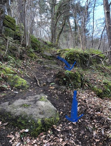 Bien regarder sur les côtés, il y a des sauts et des passages techniques intéressants qu’on voit pas forcément dans le feu de l’action 😉.