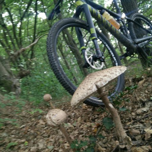 Na 't eten ging het veel beter... bergaf :D