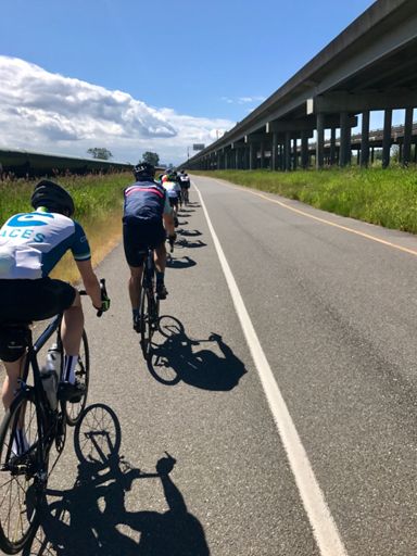 Creative bike path using the shoulder of a oneway road going the wrong way