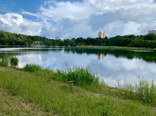 Coffee ride through Pokrovskoe-Streshnevo park.