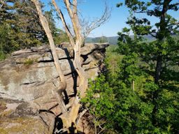 Tête de la gorge aux sangliers et Canceley