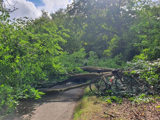 view from the far (eastern) side