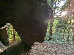 Entraînement descente en  rappel