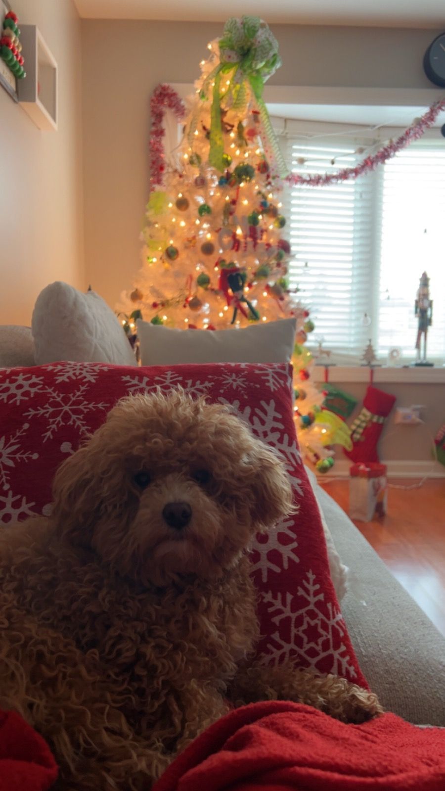 Hope y’all had a Merry Christmas 🎄🎁 