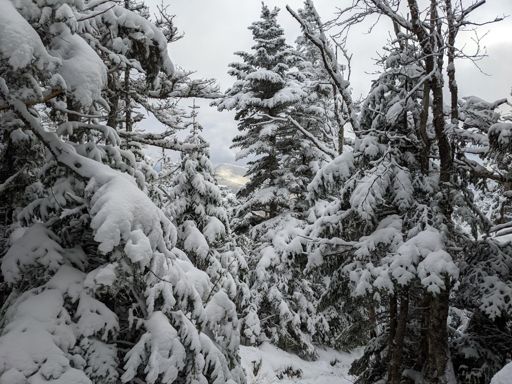 About the best view I could get from the Mount Hale summit area