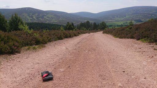 Yet another saddlebag bites the dust