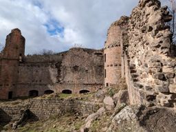 Landsberg eranthis hiemalis