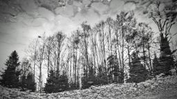 Sortie à vélo matinale