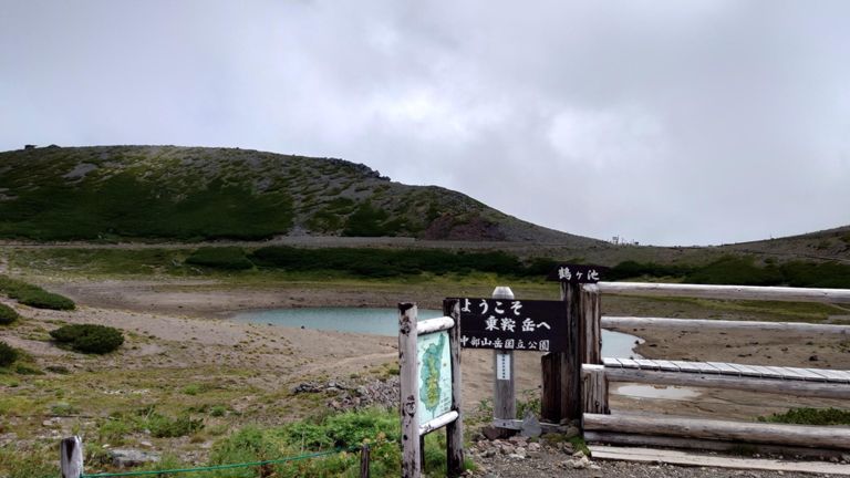 でもちょっと時間が経てばこんな感じ。