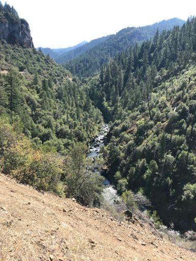 Close to the forks, no eagles today