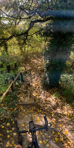 Ik heb dan wel de kasseien van de Molenberg vermeden en à l’improviste een wegeltje gevolgd, maar dit is toch ook niet helemaal optimaal voor een koersfiets.