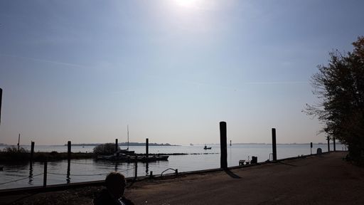 Der Matjes kann serviert werden 😁