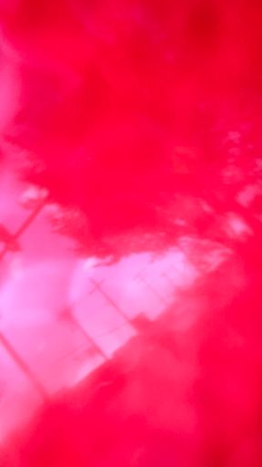 I get these weird photos all the time when I put my phone in my pocket without turning it off