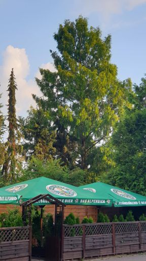 Kriftel_ID_22750_UM_Frankfurter Str. 24