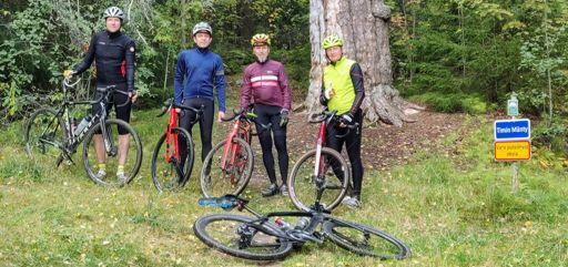 Timin suojellulla männyllä.