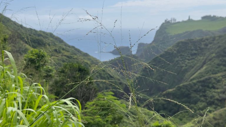 Sunny Day and Waterfalls