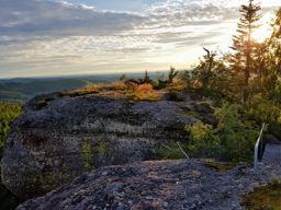 Lamproy, Grand Rougimont, Grand retour