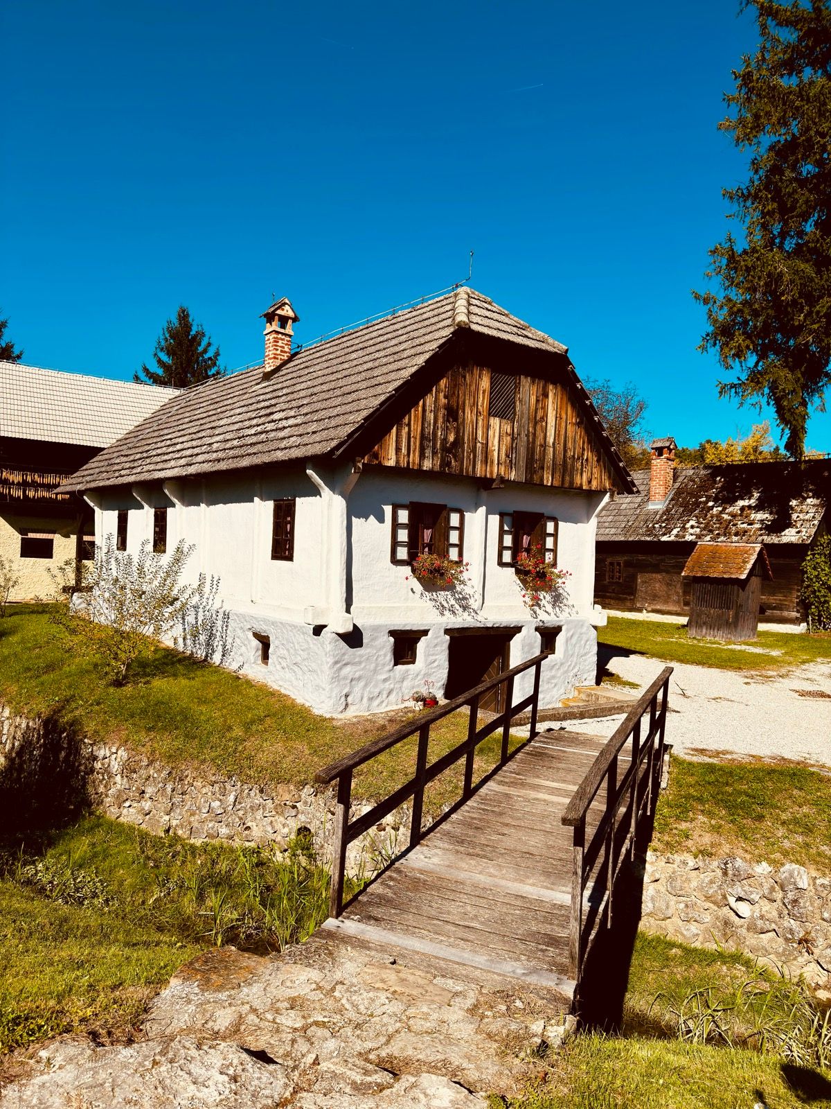 Ride Image 15