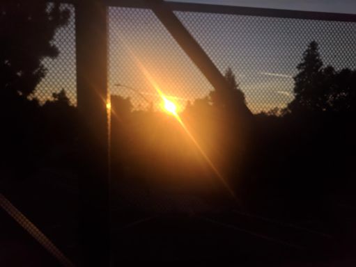 Sunrise from Moffett Blvd. Bridge