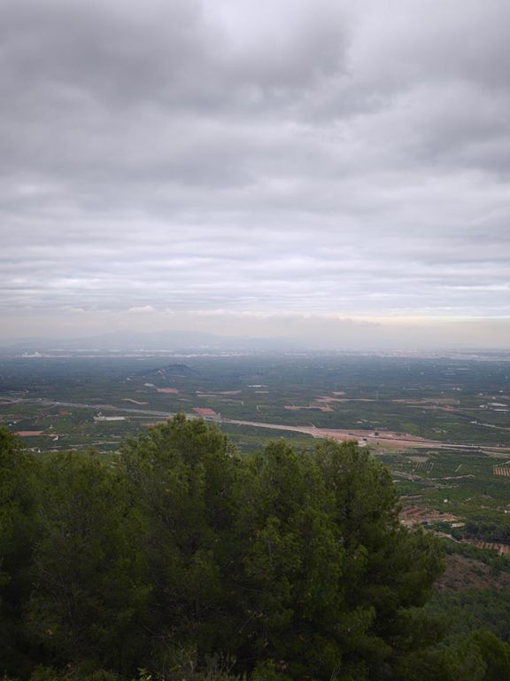 El carajillo te da aaaalas....