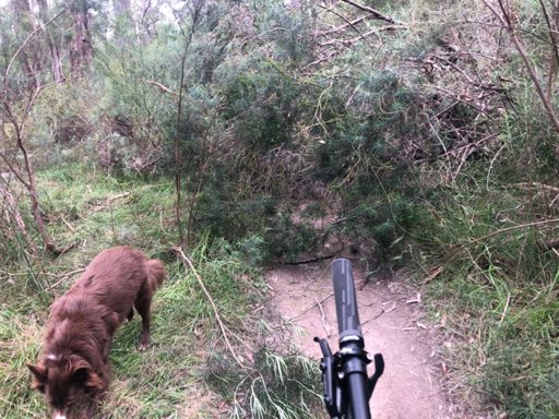 Was on track for a PB!