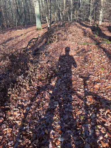 Nasses Laub hat immer recht:-)