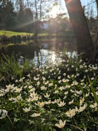 Sortie VTT en soirée