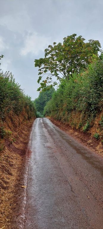 I took this photo to record tractor tyre marks on Both sides, only for one to turn up and us squeezing ourselves and the bikes against one side for it to pass.