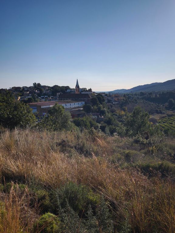 Paseo bajo el sol. Penúltima del año.